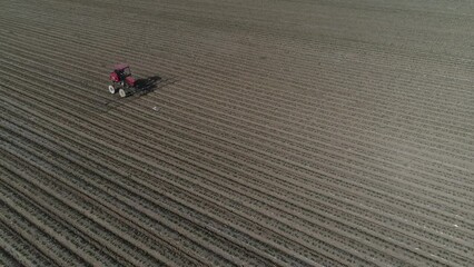 Wall Mural - Farmers drive self propelled sprayer for peanut spraying, North China.