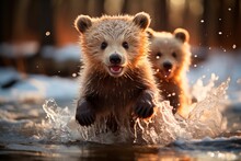 AI Generated Illustration Of Two Playful Brown Bears Frolicking In A Shallow Lake