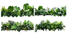 Collection Of PNG. Green Leaves Of Tropical Plants Bush Floral Isolated On A Transparent Background.