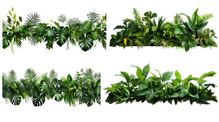 Collection of PNG. Green leaves of tropical plants bush floral isolated on a transparent background.