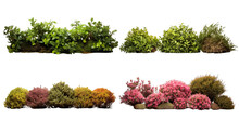 Collection Of PNG. Shrubs Isolated On A Transparent Background.