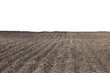 Pattern of rows in a plowed field on an isolated white background. Transparent background. PNG.