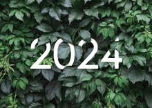 2024 New Year White Text Hidden In Natural Green Leaves Wall