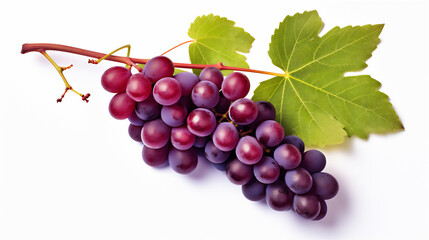 Sticker - red grapes isolated on white