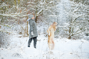 Wall Mural - Teenage Girl With Golden Retriever Plays With Snow In Winter Forest