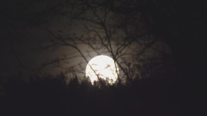 Wall Mural - Big full moon rising behind the woods, fast motion timelapse