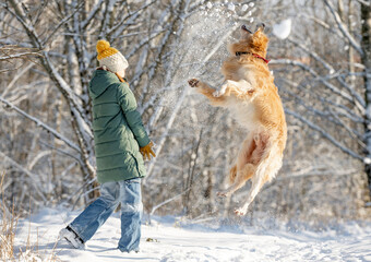 Wall Mural - Little Girl Golden Retriever, Who Jumps In Winter Forest, Plays With Snow In Snow-Covered Forest