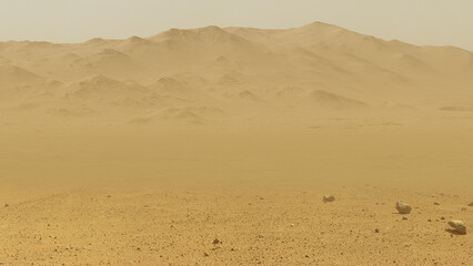 Poster - Beautiful sandy red planet Mars with desert, rocks and mountain