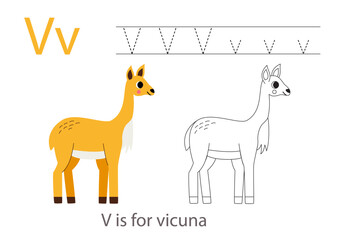 Wall Mural - Tracing alphabet letters with cute animals. Color cute vicuna. Trace letter V.