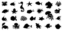 Marine Animals Silhouette Collection In Black. Set Of Black Sea Animals Silhouette. Collection Of Sea Animals Silhouettes