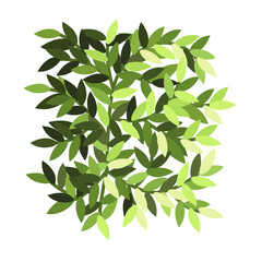 Naklejka na meble Bush for architectural floor plans. Entourage design. Top view tree for the landscape design plan. Vector illustration.