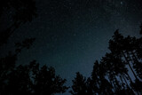Fototapeta Niebo - Stars in night sky