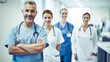 © BlazingDesigns - Portrait of medical team standing in hospital corridor. Group of medical doctors in modern clinic.