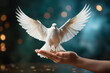 White dove flying to the sky, peace, pacifism and consciousness, purity and postive emotion, love and freedom, holy spirit, pigeon bird