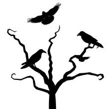 Vector Silhouette Of A Group Of Crows Perched And Flying On A Dry Tree Branch. Element For Halloween, Wall Decoration, Wall Sticker, Isolated On White Background.