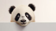 panda animal head with cute big eyes, and black and white fur sticking out its hands between white walls on a white background created with Generative AI technology