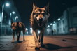 Stray dogs attack at night street