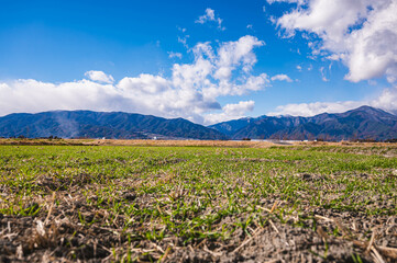 Poster - 冬の麦畑から見える山岳風景