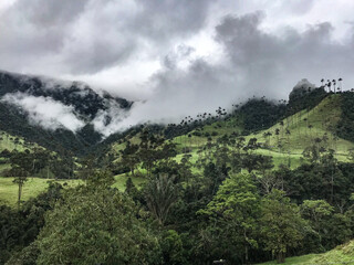  Mystical Cocora: Valley Enshrouded in Clouds and Mist