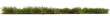 A section of grass, isolated on transparent background. 