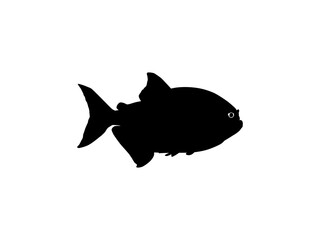 Wall Mural - Piranha Fish Silhouette, can use for Logo Gram, Website, Art Illustration, Pictogram, Icon or Graphic Design Element. Vector Illustration
