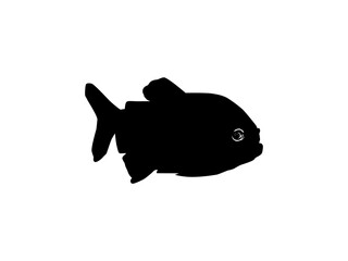 Wall Mural - Piranha Fish Silhouette, can use for Logo Gram, Website, Art Illustration, Pictogram, Icon or Graphic Design Element. Vector Illustration
