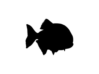 Wall Mural - Piranha Fish Silhouette, can use for Logo Gram, Website, Art Illustration, Pictogram, Icon or Graphic Design Element. Vector Illustration
