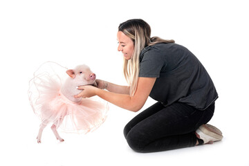 Wall Mural - miniature pig and woman