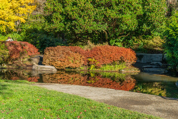 Wall Mural - Kubota Autumn Pond 2