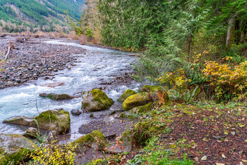 Wall Mural - Carbon River Landscape 2