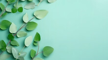 Natural Eucalyptus Leaves On Mint Pastel Green Background, Flat Lay Floral Composition