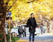 People visit Ginkgo Avenue in Tokyo Japan. Icho Namiki Avenue is famous for its celebration of autumn leaves.