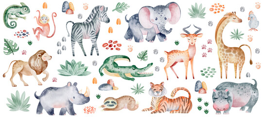 jangle animals on isolated background. watercolor clipart of savanna beasts and plant elements. the 