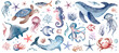 Underwater creatures on an isolated background. Watercolor illustration of the undersea world. Sea animals are hand drawn. Ocean fauna clipart for children design.