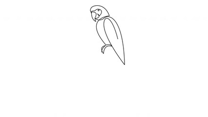 Wall Mural - Self drawing simple animation of one line parrot design silhouette. Animated hand drawn minimalism style bird head.