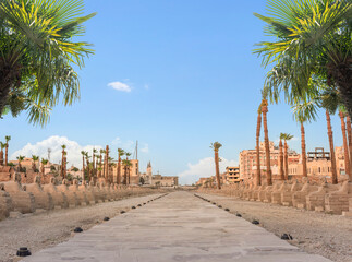 Poster - Alley of Sphinx statues