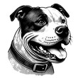 Happy Pitbull Terrier portrait. Hand Drawn Pen and Ink. Vector Isolated in White. Engraving vintage style illustration for print, tattoo, t-shirt, sticker