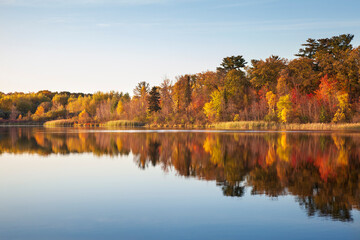 Wall Mural - colorful treeline on calm northern minnesota lake at sundown during autumn