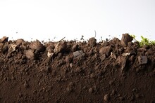 White Isolated Texture Section Soil Dirtied Dirt Edge Mud Clod Cross Agriculture Background Botany Brown Crop Cultivated Cut Dry Earth Environmental Farm Field Flat Fresh Garden