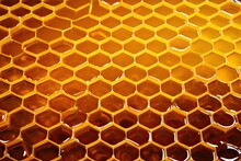 Background Honeycomb Honey Comb Texture Beehive Bee Beeswax Closeup Honeyed Macro Natural New