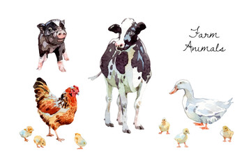 Naklejka na meble Watercolor cute farm animals collection, livestock illustration