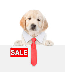 Poster - Cute Golden retriver puppy wearing necktie shows signboard with labeled 