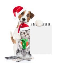Poster - Funny Jack russell terrier puppy and funny cute kitten wearing santa hats standing together. Dog shows empty notepad. Cat holds tiny gift box. isolated on white background