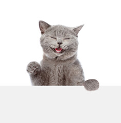 Poster - smiling cat looks above empty white banner. isolated on white background
