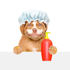 Poster - Smiling Mastiff puppy wearing shower cap with cream on it face looks above empty white banner and holds bottle of fleas shampoo. isolated on white background
