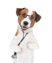 Poster - Smart jack russell terrier wearing like a doctor with stethoscope on his neck looks at camera. isolated on white background