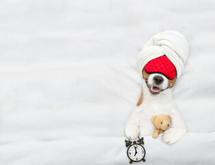 Poster - jack russell terrier puppy wearing sleeping mask sleeps with toy bear  and alarm clock under white blanket on a bed at home. Top down view. Empty space for text