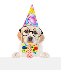 Poster - Golden retriever puppy wearing funny eyeglasses and party cap looks above empty white banner and blows into party horn. isolated on white background