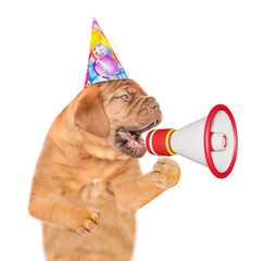 Poster - Funny puppy wearing party cap  screams into a megaphone. isolated on white background