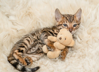 Aufkleber - Cute bengal kitten plays and hugs favorite toy bear on a bed at home.Top down view